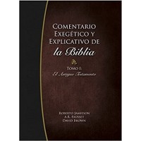 COMENTARIO EXEG. Y EXP. T- I  A.T